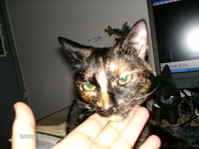  - mita _2011