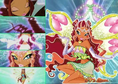 149 - winx enchantix