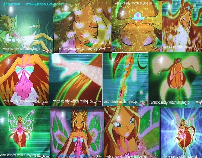 374 - winx enchantix