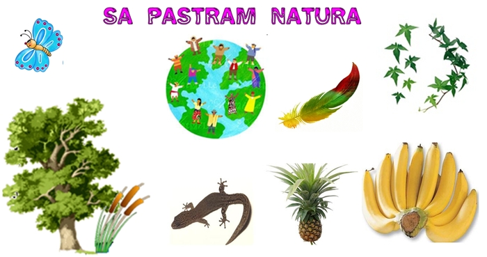 Sa Pastram Natura - Sa Pastram Natura Nr 2