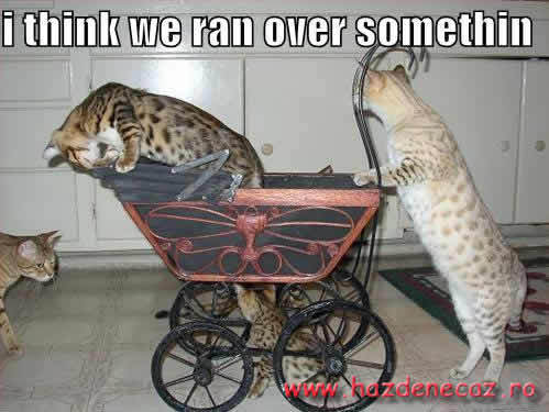 Cred ca am calcat ceva ...