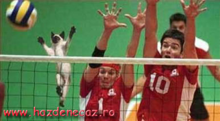 cu baietii la volei