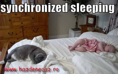 Somn sincron