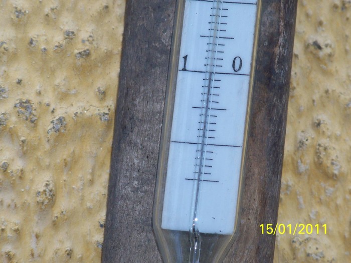 100_7388 - Iarna 2010  2011