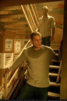 Michael43 - Michael Scofield