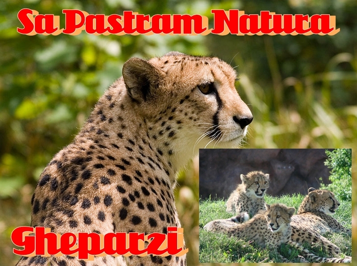 Sa Pastram Natura - Postere Sa Pastram Natura