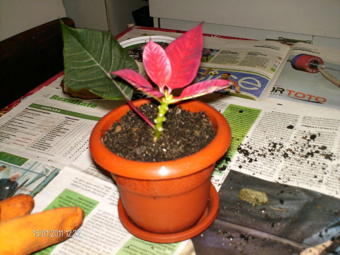 sper...un inceput nou