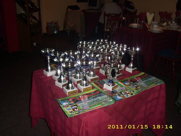 cupele pt. campioni - Expozitie de iepuri si gaini la Timisoara 13-16 ianuarie 2011