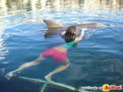 images (56)
