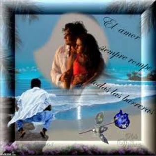 images (86)