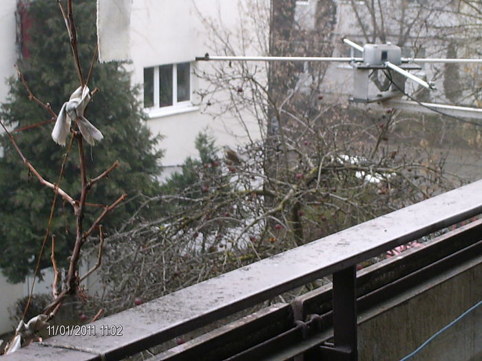 antena de pe balcon