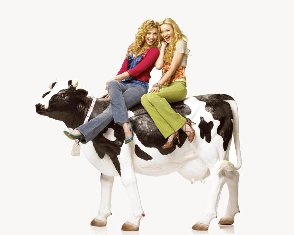 Cow Belles (2) - Cow Belles
