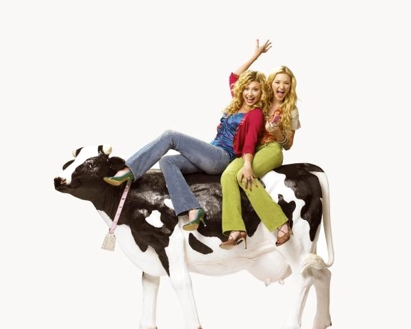 Cow Belles (3) - Cow Belles