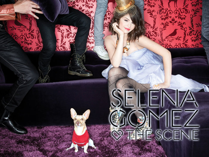 Selena-Wallpaper-selena-gomez-18194032-1024-768 - Wallpapers Selena Gomez