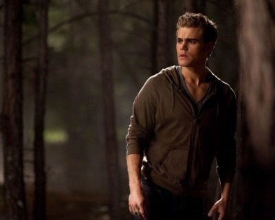 Stefan61 - Stefan Salvatore