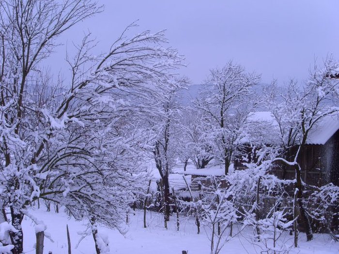 winters 2 - winters 2011