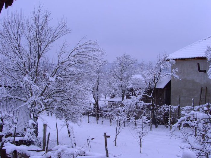 winters 5 - winters 2011