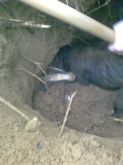 Aga-As Von Hertelend - Aga-As Von Hertelend