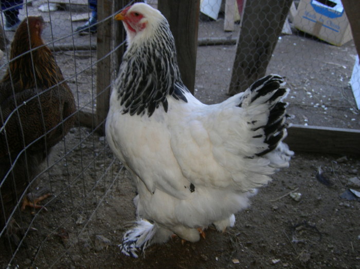 SANY0107