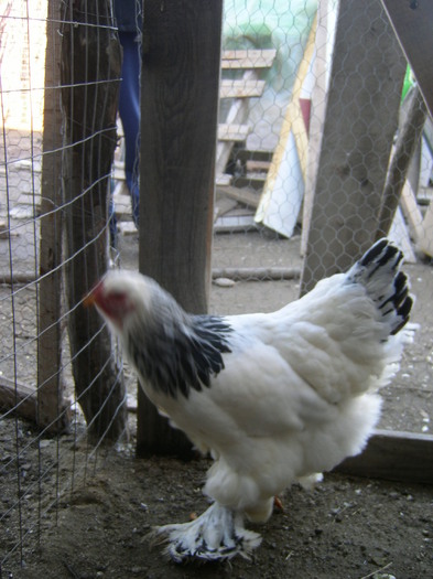 SANY0108