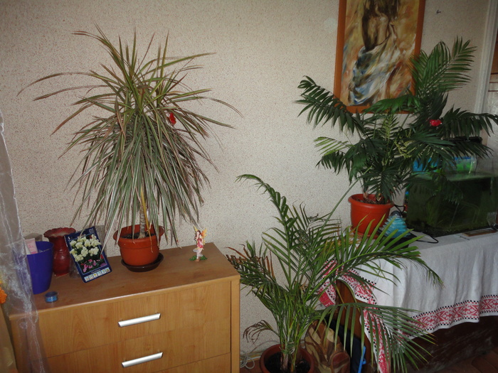 DSC01200 - Balcon 2011-2012