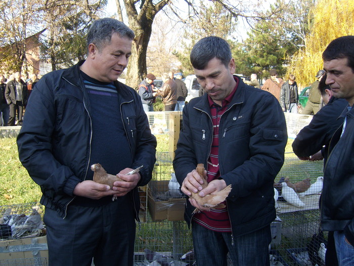 DSCI0074 - Targul ORHEI 2010