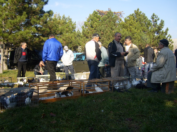 DSCI0146 - Targul ORHEI 2010