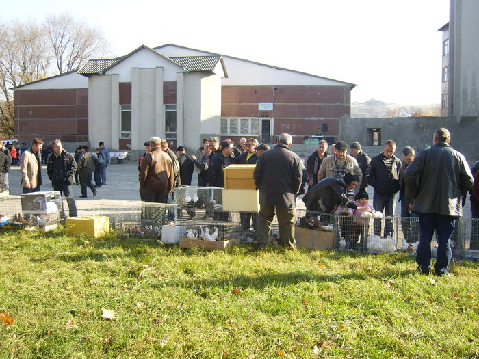 DSCI0206 - Targul ORHEI 2010