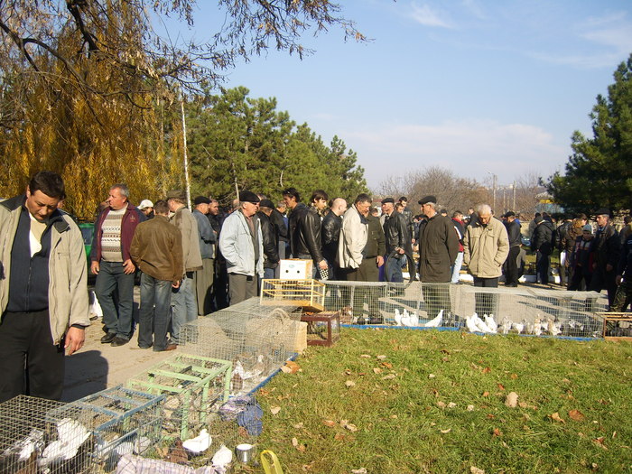 DSCI0214 - Targul ORHEI 2010