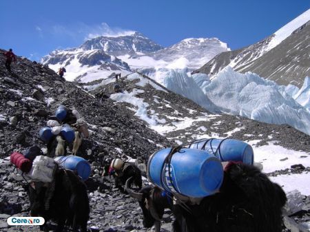 foto_12828 - Muntele Everest