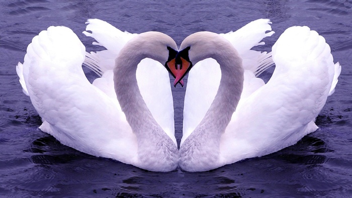 31122-1366x768-Love_Sign