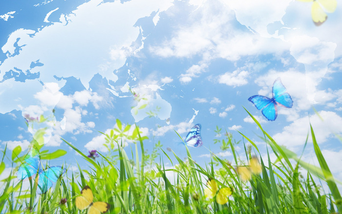 beautiful-butterflies-wallpapers_13863_1920x1200 - tot felul de poze