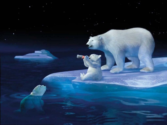 Bear_Drink_A_Coca_Colla