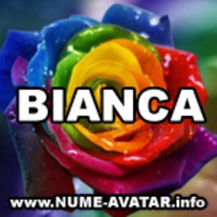 062-BIANCA%20avatare - Avatare cu numele Bianca