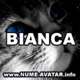 062-BIANCA%20avatare%20modificate - Avatare cu numele Bianca