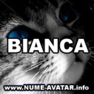 062-BIANCA%20avatare%20modificate