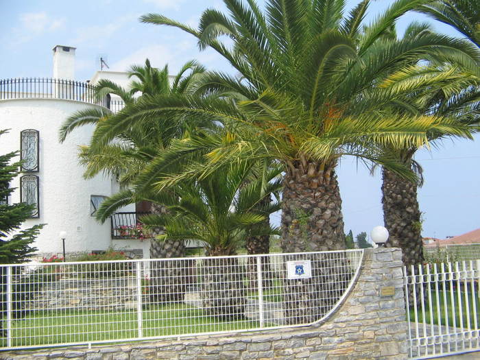 palmieri - Grecia 2007