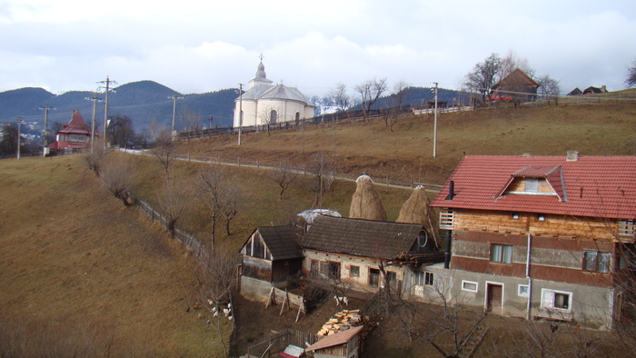 DSC09849