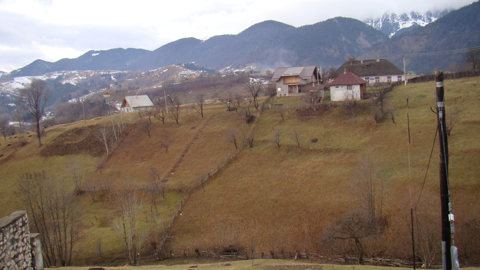 DSC09852