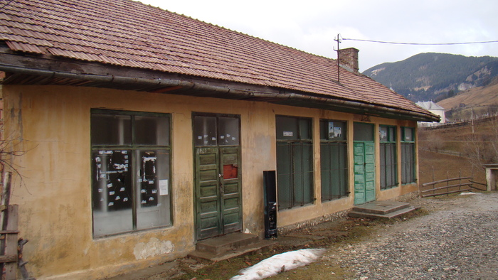 DSC09854
