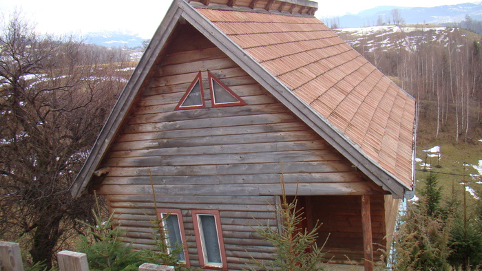 DSC09855