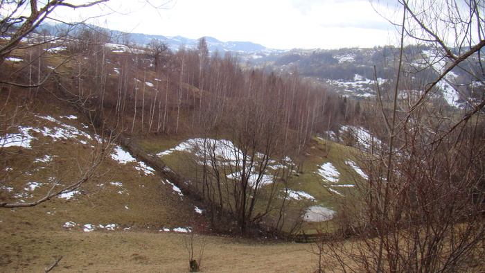 DSC09857