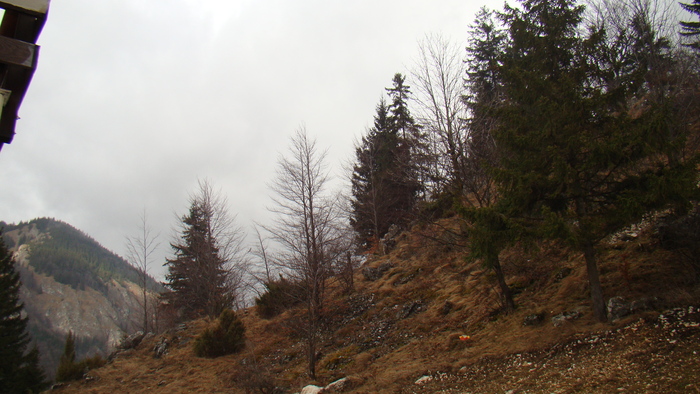 DSC09893 - vacanta sat Magura 2011