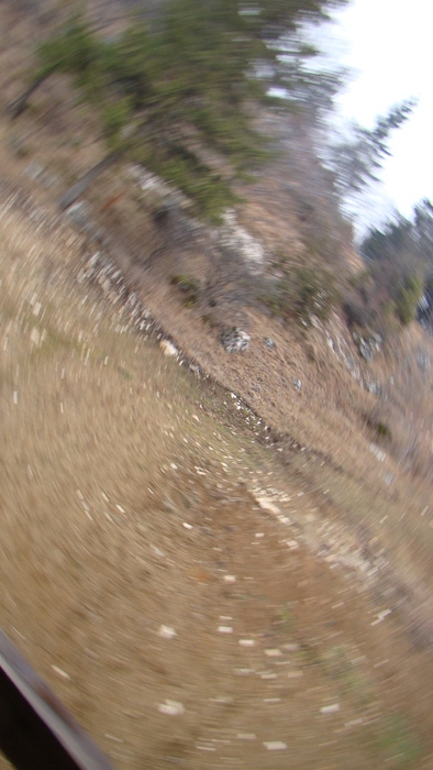 DSC09888 - vacanta sat Magura 2011