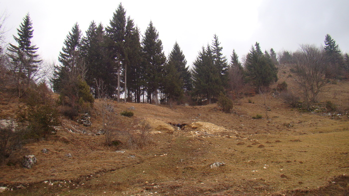 DSC09892 - vacanta sat Magura 2011