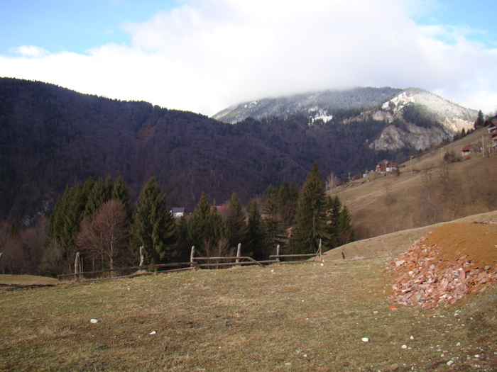 DSC09917 - vacanta sat Magura 2011