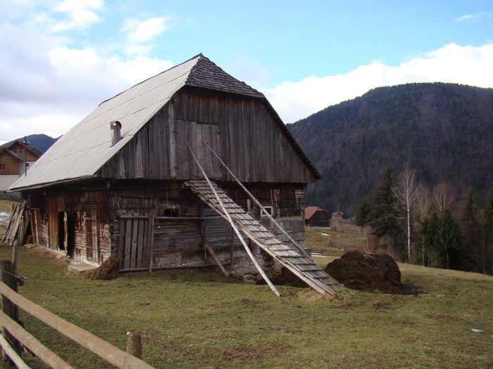DSC09926 - vacanta sat Magura 2011