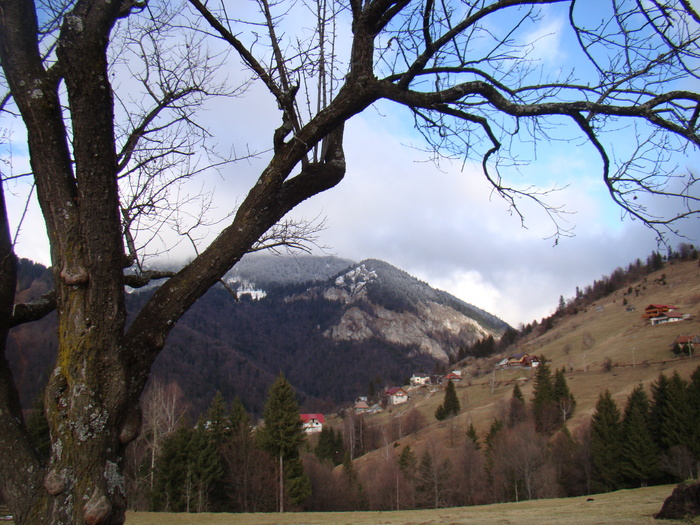 DSC09928 - vacanta sat Magura 2011