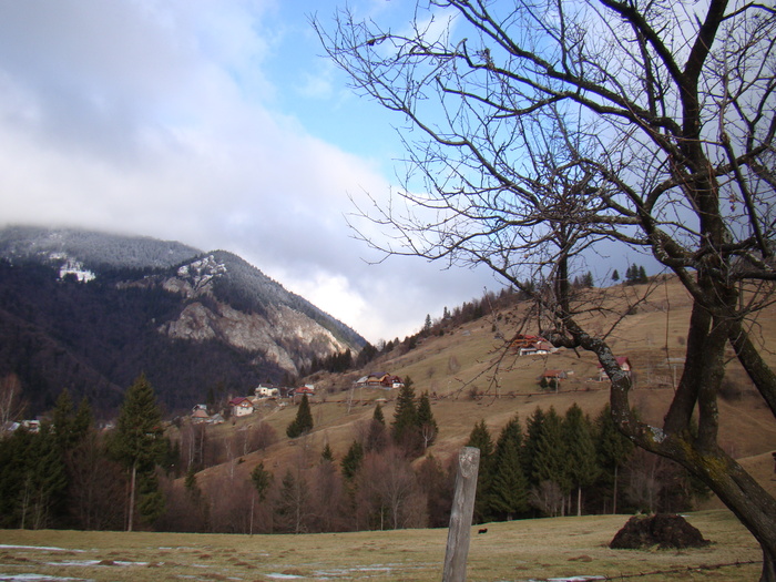 DSC09929 - vacanta sat Magura 2011