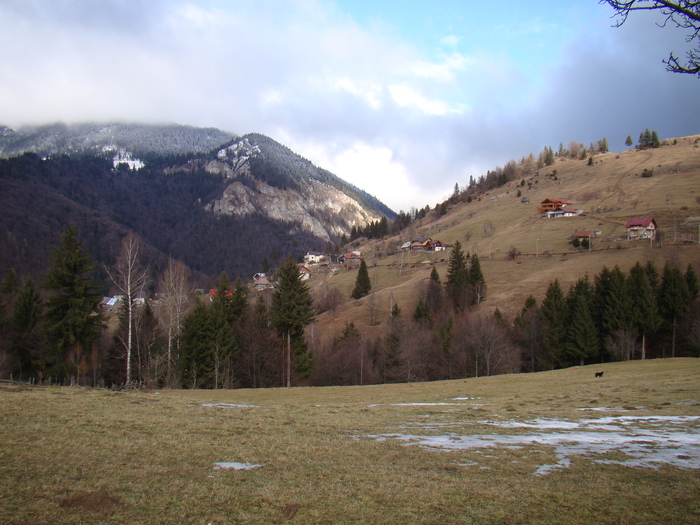 DSC09930 - vacanta sat Magura 2011